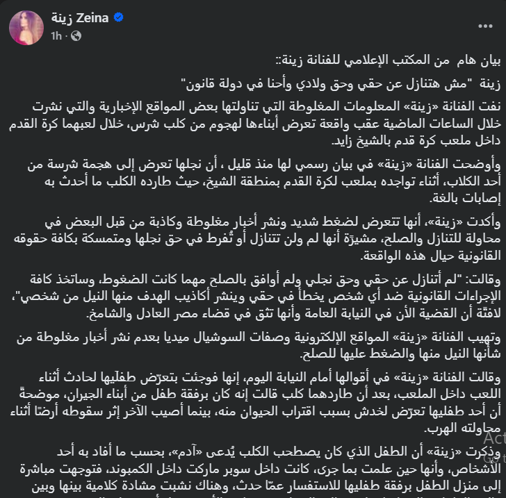 زينة&nbsp;عبر فيسبوك