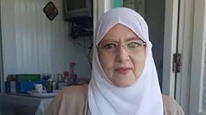شمس البارودي
