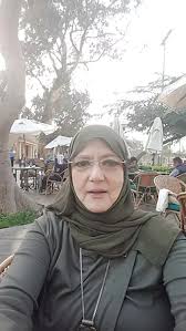 شمس البارودي