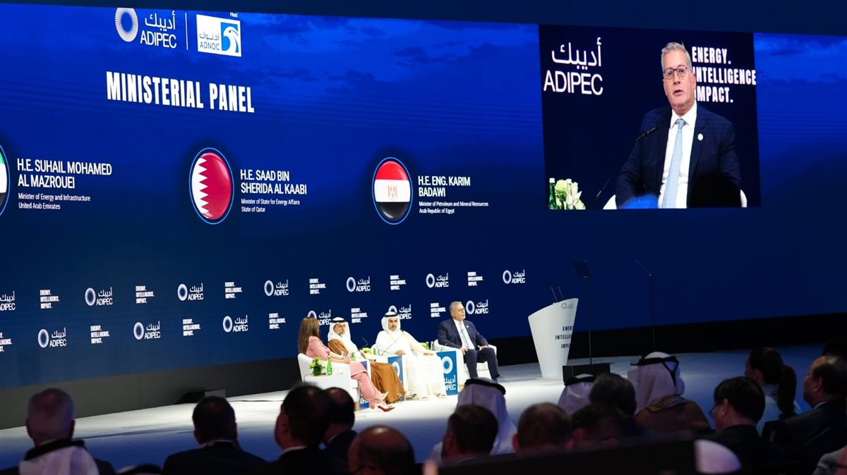 المهندس كريم بدوي، وزير البترول والثروة المعدنية