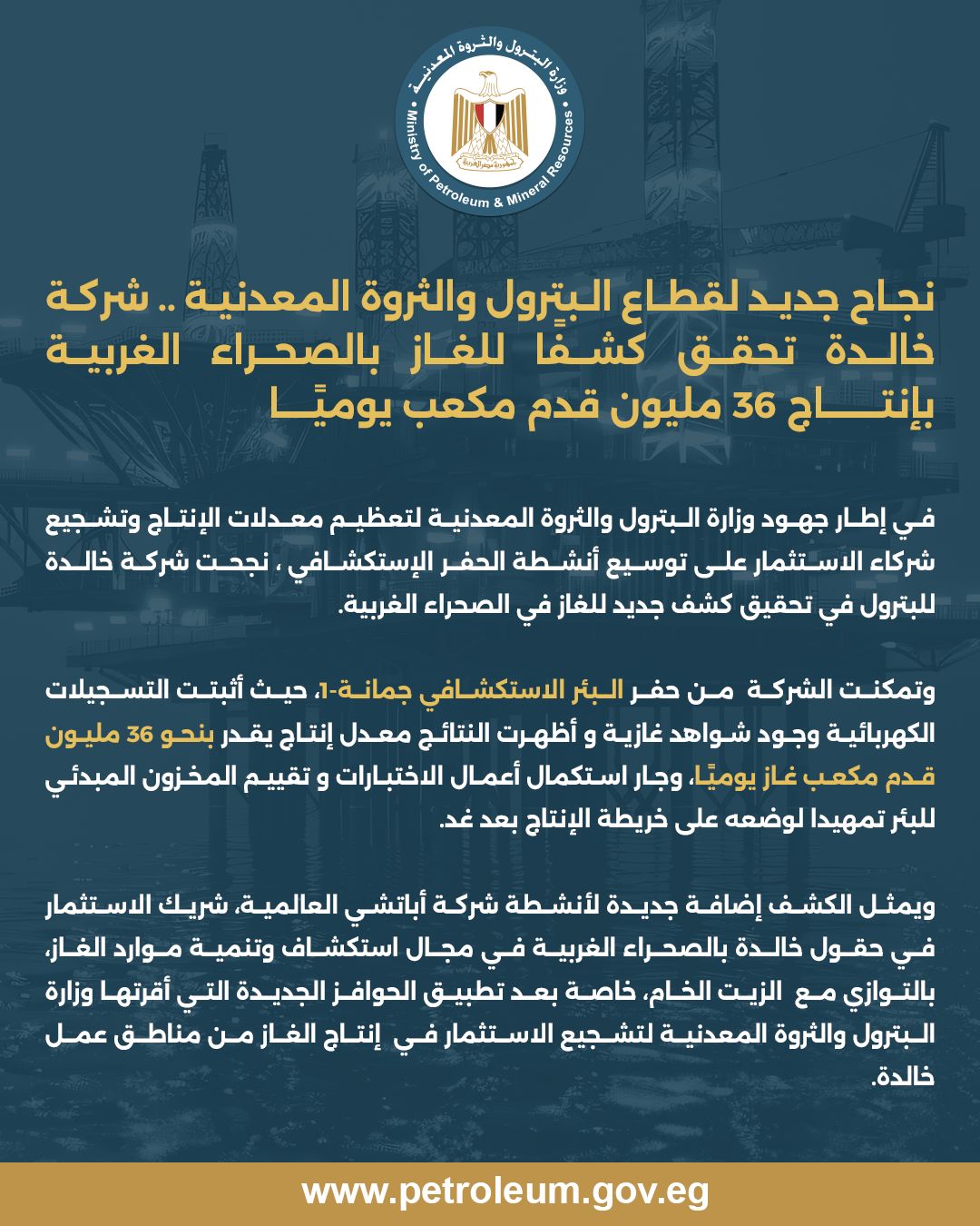 وزارة البترول والثروة المعدنية