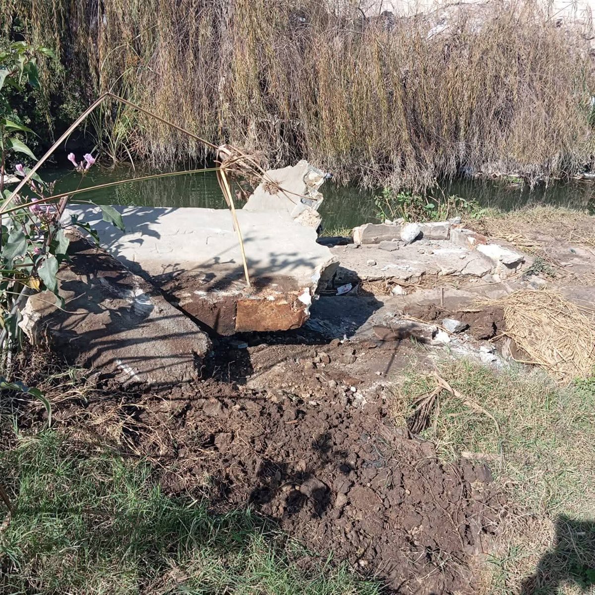 1000253050