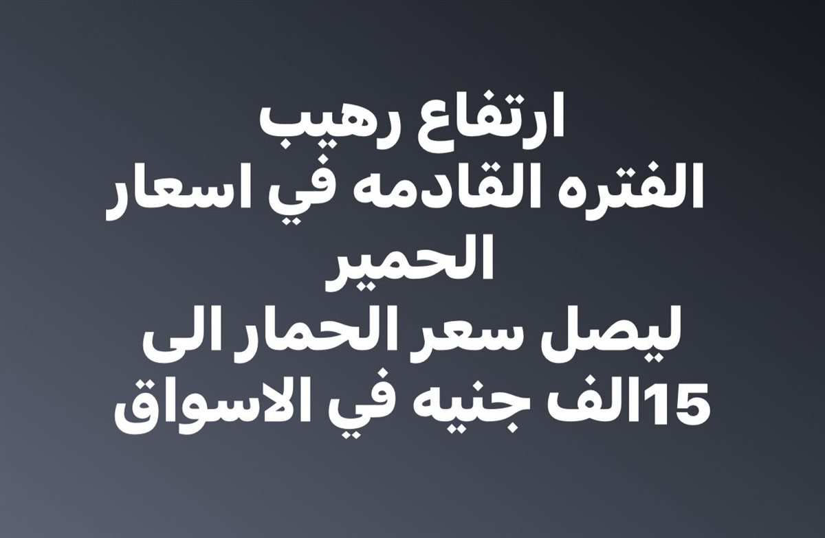 أسعار الحمير في مصر