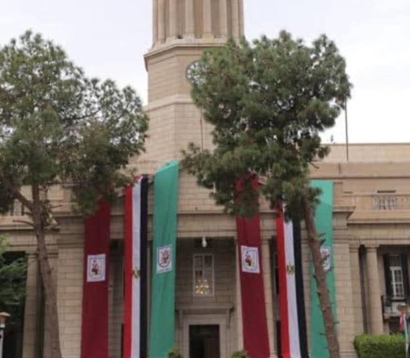 قصر العيني