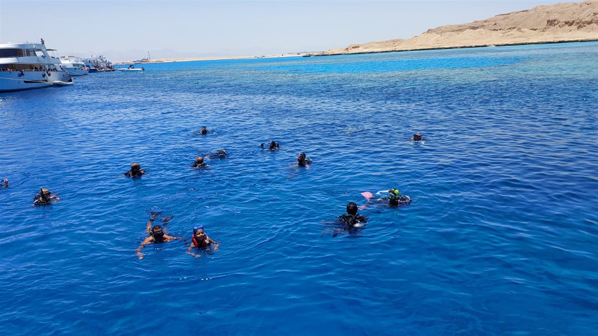 الحملة&nbsp;