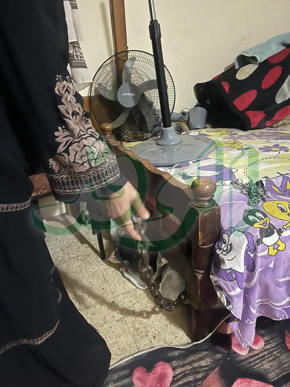 سشيليسش