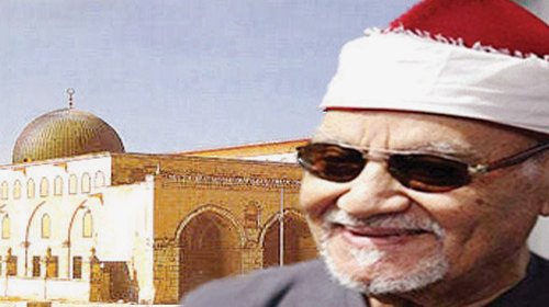 الشيخ ابو العينين شعيشع&nbsp;