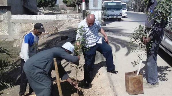 زراعة 3200 شجرة في طما بسوهاج ضمن فعاليات مبادرة أحلى وهي خضرة