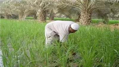 حيازة ومدفوعات.. ما هي بطاقة 