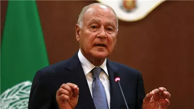 أبو الغيط يصف مرتكبي مجزرة مستشفى فلسطين  بـ 