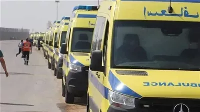 مستشفيات مصر استقبلت 3764 مصابًا من غزة منذ بداية العدوان (فيديو)
