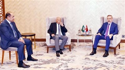 الاقتصاد المصرى يقاوم  صراعات المنطقة  