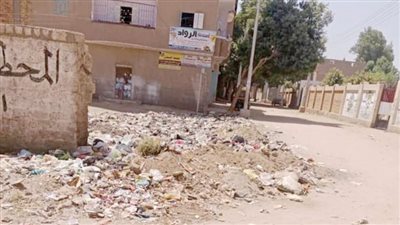 قرية البصيرة بالعامرية بلا خدمات