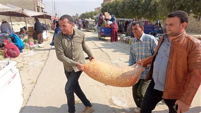 تحرير 513 مخالفة تموينية متنوعة فى الفيوم  