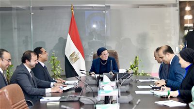 وزيرة البيئة تبحث مع مدير مكتب مصر لبرنامج الأمم المتحدة تنفيذ عدد من المشروعات