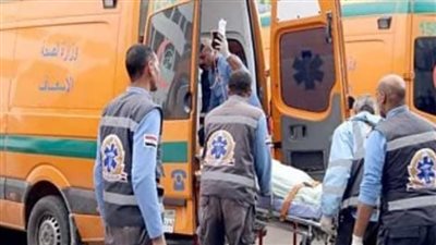 مصرع شخص بطلق ناري بقرية المحاميد في أسوان