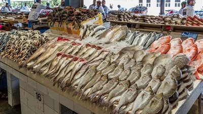 بعد توقف دام شهرين.. استئناف نشاط الصيد بالبحر الأحمر