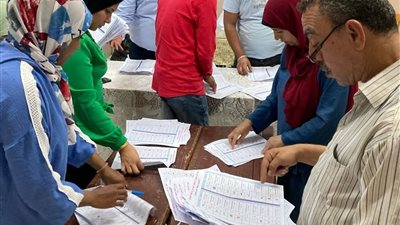 بدء عملية فرز أصوات الناخبين بالمنوفية لانتخابات الشيوخ 2025