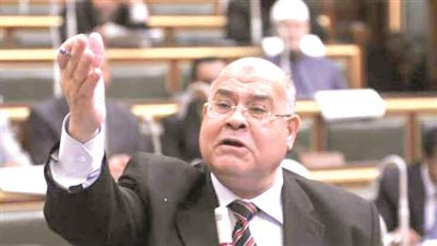  برلماني يطالب بتعديل الدستور وتوسيع صلاحيات مجلس الشيوخ