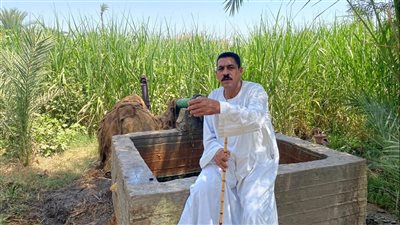 توفير الأسمدة ورفع أسعار التوريد وصرف المستحقات طموحات مزارعى قنا