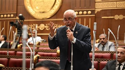 الجندي: منتدى رجال الأعمال المصري الإسباني يؤسس لشراكة اقتصادية متطورة 