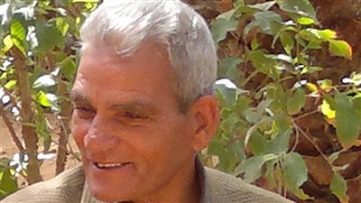 أستاذ الجيومورفولوجيا بجامعة بنها: السد العالي ومفيض توشكى ضمانة مصر ضد الفيضانات