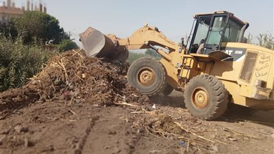 محافظ أسيوط: رفع 167 طن قمامة ومخلفات خلال حملات نظافة مكثفة 