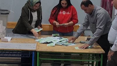 نتائج الحصر العددي لأصوات الناخبين بدائرة قويسنا في المنوفية 