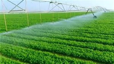 نهضة زراعية غير مسبوقة في مصر.. بين ارتفاع الإيجارات ودعم الدولة للفلاحين