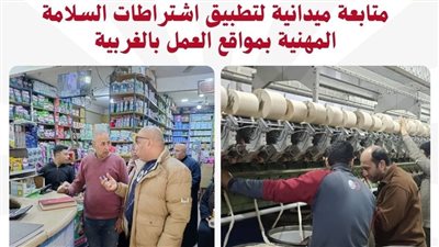 وزارة العمل تشن حملات تفتيشية لمتابعة تطبيق القانون بالمحافظات.. التفاصيل