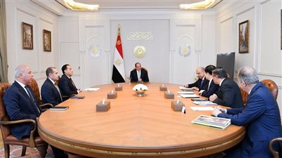 عاجل.. السيسي يستقبل رئيس مجلس إدارة شركة GCL الصينية