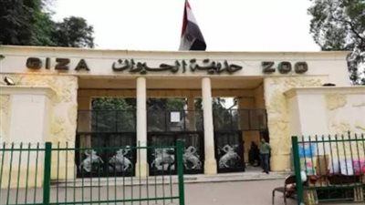 موعد افتتاح حديقة الحيوان بالجيزة 2026.. تطوير شامل وتحول تاريخي ينتظره الملايين