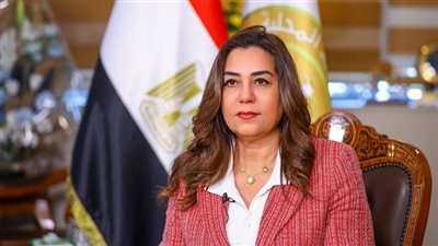 صندوق التنمية المحلية يمول 1338 مشروعًا صغيرًا في 17 محافظة 