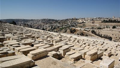 بعد تضررالأهالي.. تحرير 280 حالة إزالة إدارية و148 محضرًا بمنطقة ترب اليهود بالقاهرة