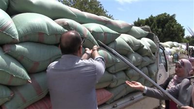 زيادة كمية الأقماح الموردة لشون وصوامع سوهاج إلى 100 ألف و331 طن