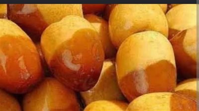 البلح.. غذاء طبيعي يساعد على زيادة الوزن ويمد الجسم بالطاقة