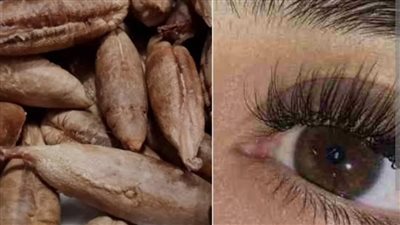 نواة البلح لتكثيف الحواجب.. وصفة طبيعية تعود إلى الواجهة
