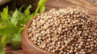 الكزبرة  سر طبيعي لتحسين صحة مرضى السكري من خلال الوصفات الغذائية