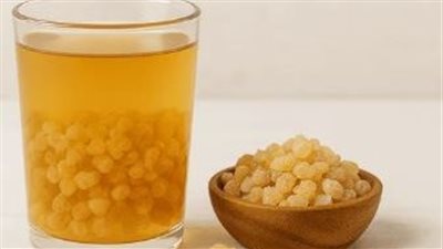 لبان الذكر على الريق.. فوائد صحية متعددة لجسم الإنسان