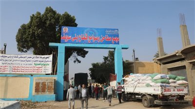 صوامع وشون بني سويف تستقبل أكثر من 165 ألف طن قمح منذ بدء التوريد