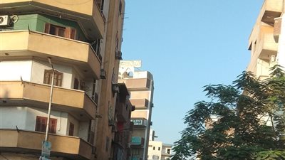 ندب الطب الشرعى وحبس المتهمين في مشاجرة الباعة الجائلين بنجع حمادى