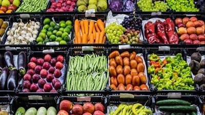 رئيس اتحاد الفلاحين: صادرتنا الزراعية وصلت 4مليون طن منذ بداية العام وحتي الان