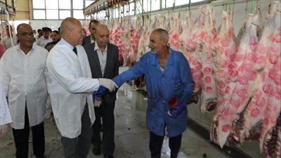 محافظ القاهرة: منع ذبح الأضاحي بالشوارع والميادين خلال عيد الأضحى