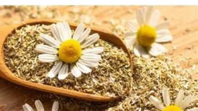 البابونج مشروب طبيعي يجمع بين الطعم والفوائد الصحية