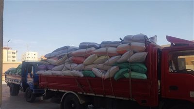 استمرار توريد القمح المحلي لصوامع القليوبية 