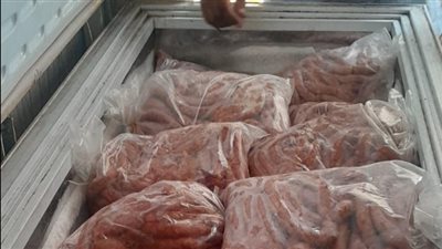 حملات مكبرة لتموين القاهرة استعدادًا لعيد الأضحى