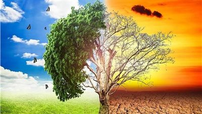 أزمة بيئية جديدة.. الاحتباس الحراري يخنق أنهار العالم تدريجيًا