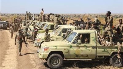 الجيش السوداني     