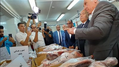 قبل عيد الأضحى.. محافظ القاهرة يتفقد الشركة المصرية للدواجن واللحوم بعين الصيرة