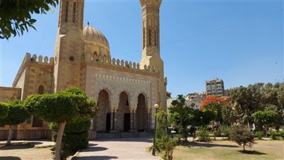 أسرة الفنان أحمد حلمي تقتصر العزاء على تشييع جنازة والدته ببنها